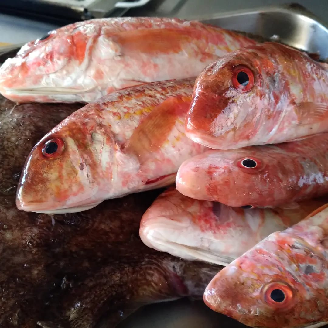 CARNES Y PESCADOS A LA BRASA